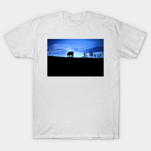 All Alone And Feelin` Blue T-Shirt by Ladymoose